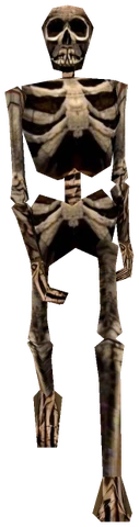 Imagem ilustrativa: Skeletons